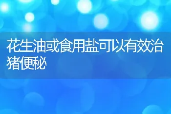 池塘繁育青虾苗种