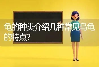 龟的种类介绍几种常见乌龟的特点？