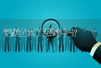 鹦鹉鱼属于慈鲷科吗？