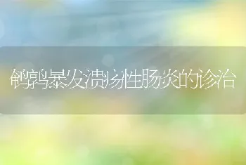 鹌鹑暴发溃疡性肠炎的诊治