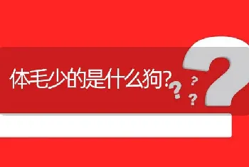 体毛少的是什么狗？