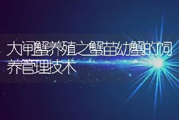 大闸蟹养殖之蟹苗幼蟹的饲养管理技术