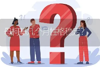 母柯基几个月性格稳定？