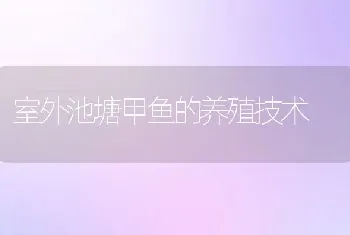 室外池塘甲鱼的养殖技术