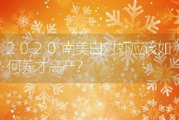 2020南美白对虾应该如何养才高产？