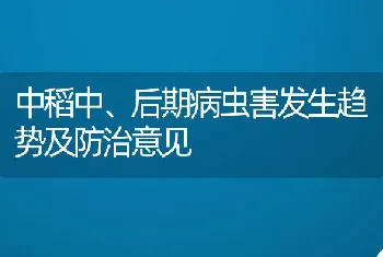 中稻中、后期病虫害发生趋势及防治意见