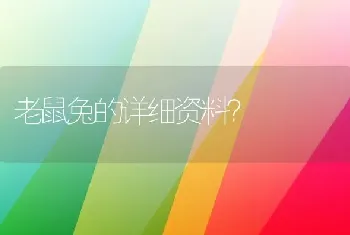 老鼠兔的详细资料？