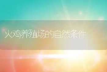 火鸡养殖场的自然条件