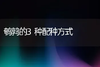 鹌鹑的3种配种方式