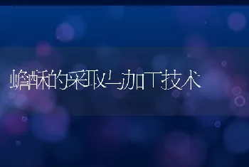 肉鸡消化不良的原因和防治