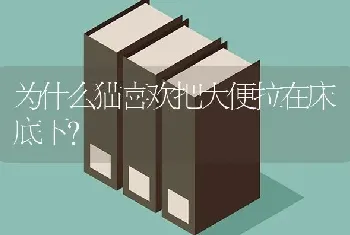 为什么猫喜欢把大便拉在床底下？