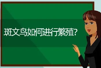 乌龟的眼被什么东西捂住？