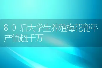 80后大学生养殖梅花鹿年产值超千万