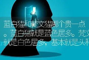 蓝白猫和梵文猫哪个贵一点。蓝白猫就是蓝色居多。梵文就是白色居多，基本就是头和尾巴是带有蓝色的？