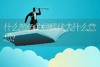 什么颜色的蝴蝶代表什么意思？