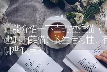 谁能介绍一下喜玛拉雅猫（也叫加菲猫）的生活习性！有哪些缺点？