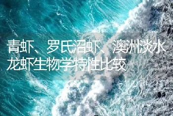 青虾、罗氏沼虾、澳洲淡水龙虾生物学特性比较