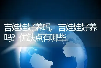 吉娃娃好养吗，吉娃娃好养吗？优缺点有哪些