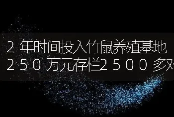 2年时间投入竹鼠养殖基地250万元存栏2500多对