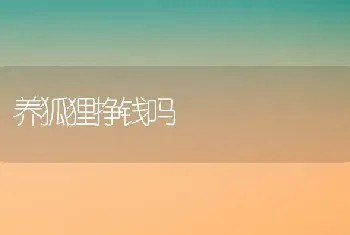 养狐狸挣钱吗