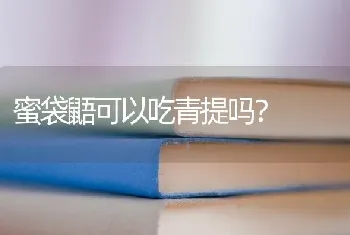 蜜袋鼯可以吃青提吗？