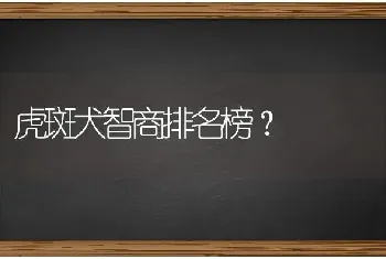 虎斑犬智商排名榜？