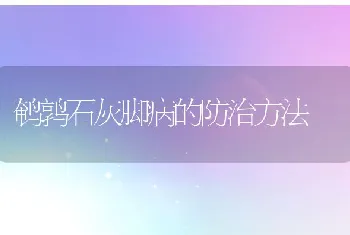 鹌鹑石灰脚病的防治方法