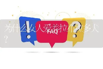 柯基宝宝睡觉哼唧是怎么回事？