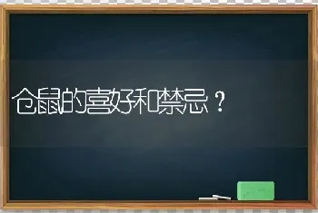 仓鼠的喜好和禁忌？