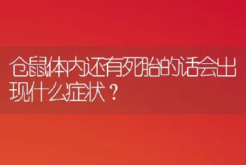 仓鼠体内还有死胎的话会出现什么症状？