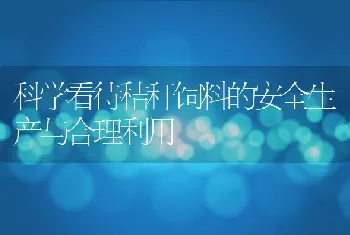 科学看待秸秆饲料的安全生产与合理利用