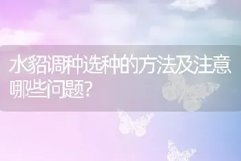 水貂调种选种的方法及注意哪些问题？