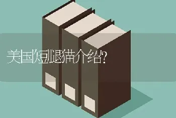 泰迪和比熊可以养在一起吗？