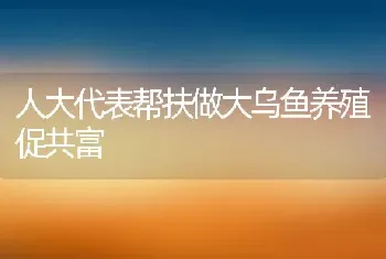 人大代表帮扶做大乌鱼养殖促共富