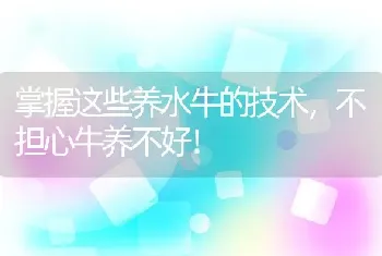 掌握这些养水牛的技术，不担心牛养不好！