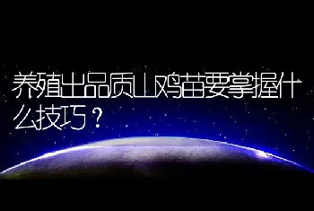 养殖出品质山鸡苗要掌握什么技巧？