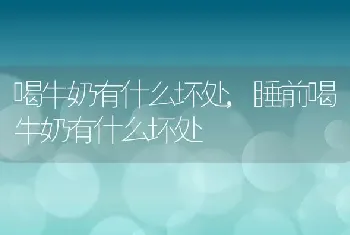 喝牛奶有什么坏处，睡前喝牛奶有什么坏处