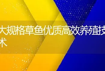 大规格草鱼优质高效养殖技术