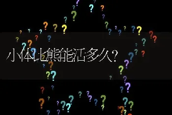 小体比熊能活多久？