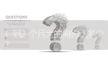 1到2个月大的狗狗吃多少？