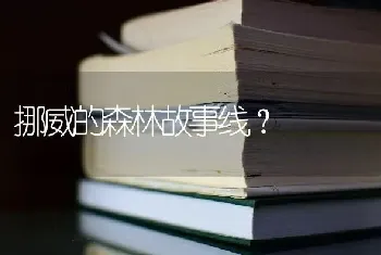 挪威的森林故事线？