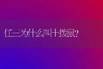 宠物狗呕吐物里有黑色颗粒？