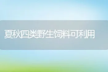 夏秋四类野生饲料可利用