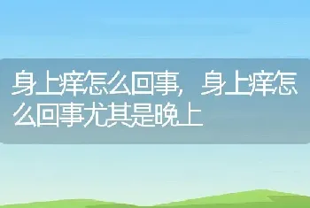 身上痒怎么回事，身上痒怎么回事尤其是晚上