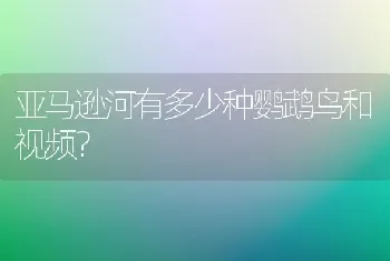 亚马逊河有多少种鹦鹉鸟和视频？