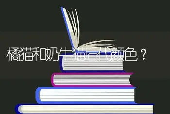 怎样训练边牧随行，训练边牧随行的方法与技巧？