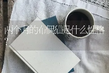 东德和罗威纳体型哪个大？