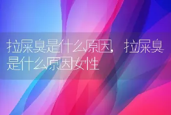 拉屎臭是什么原因，拉屎臭是什么原因女性