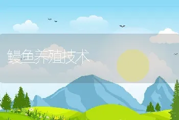 鳗鱼养殖技术