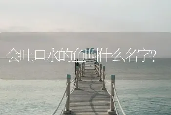 会吐口水的鱼叫什么名字？